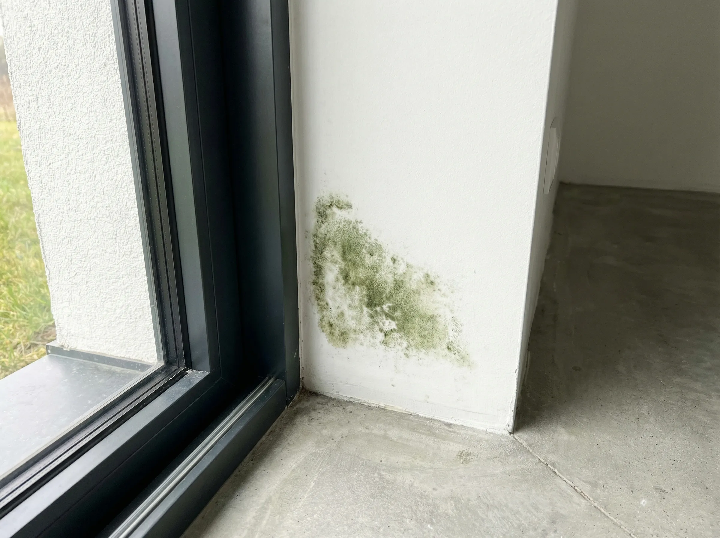 Parete con muffa nera - Prima del trattamento LantiMuffa